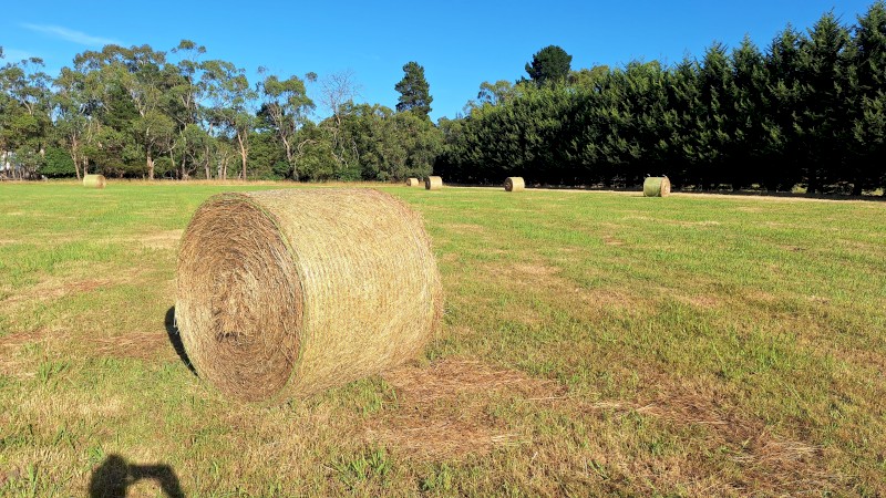Grass/Pasture Hay New Season
