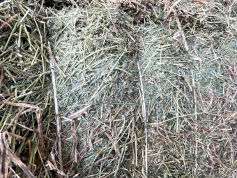 70mt Lucerne Hay 8x4x3 Bales