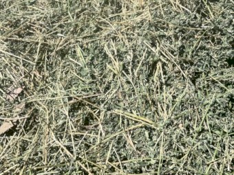  Lucerne Hay 8x4x3 Bales