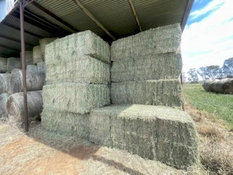  Lucerne Hay 8x4x3 Bales
