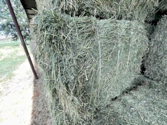  Lucerne Hay 8x4x3 Bales