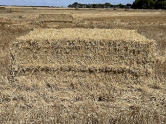 200mt Barely Straw 550kg 8x4x3 Bales