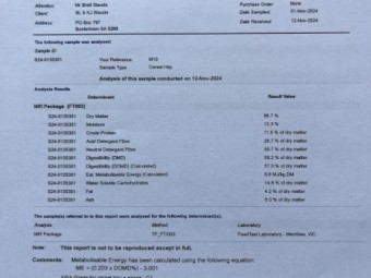 300mt Wheaten Hay 600kg 8x4x3 Bales