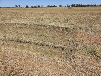 Vetch Hay, A1, 24 season, HD 8x4x3 Bales