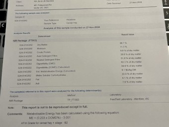 78mt Wheaten Hay 650-700kg 8x4x3 Bales