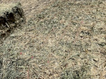 118mt Wheaten Hay 650-700kg 8x4x3 Bales