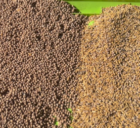 Rotary Seed Cleaner/Seperator