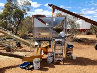 WANTED Wheat, Triticale, Cereal Rye or Barley Seed