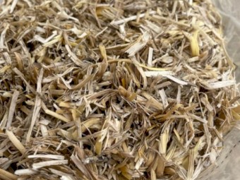 2024/25 New Season  Wheaten Tailings Round Rolls Net Wrapped (5x4)