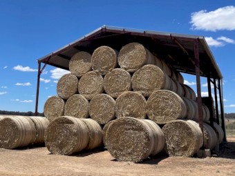 2024/25 New Season  Wheaten Tailings Round Rolls Net Wrapped (5x4)