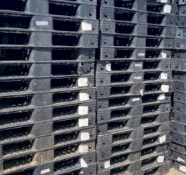 350 x Plastic Pallets