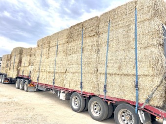 500mt Wheaten Straw 8x4x3 Bales