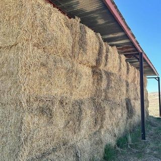 8*4*3 Quality Cereal Hay sold by the tonne
