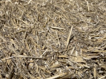 Wheaten Straw 8x4x4 Bales