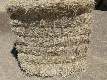 Wheaten Straw 8x4x4 Bales
