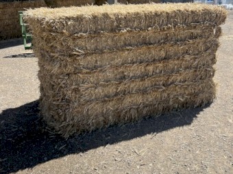 Wheaten Straw 8x4x4 Bales
