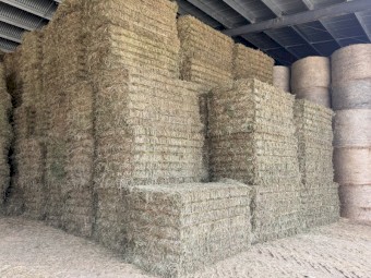 200mt Rye and Clover Hay 8x4x4 Bales