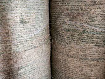 40 x Lucerne Hay 4x4 Round Bales