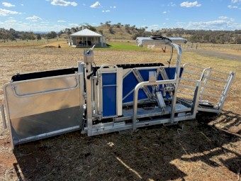 Clipex 6 in 1 Sheep Handler