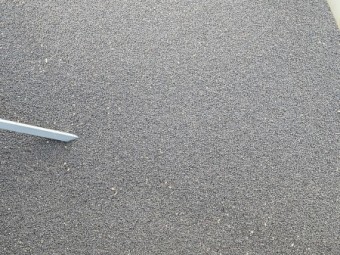 50mt Morava Vetch Seed