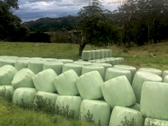 80 Bales of Pasture Silage