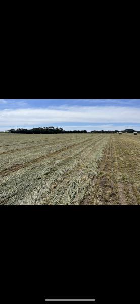 Wheaten Hay, Silage and Straw 5x4 Rolls