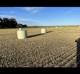 Wheaten Hay, Silage and Straw 5x4 Rolls