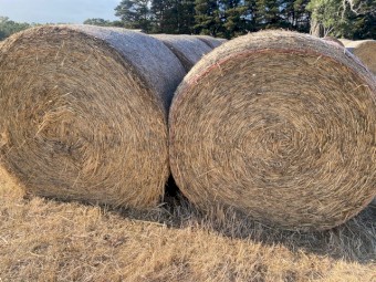 Wheaten Hay rolls