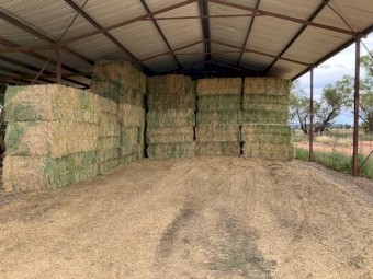 1000mt Prime Lucerne Hay 650-700kg 8x4x3 Bales