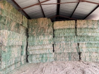 1000mt Prime Lucerne Hay 650-700kg 8x4x3 Bales