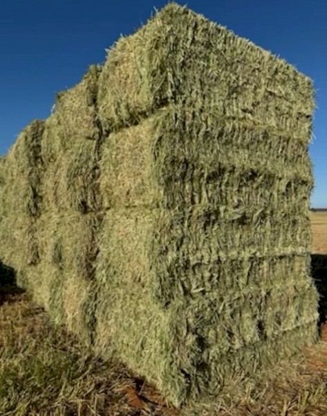 500mt Wheaten Hay  680kg 8x4x3 Bales