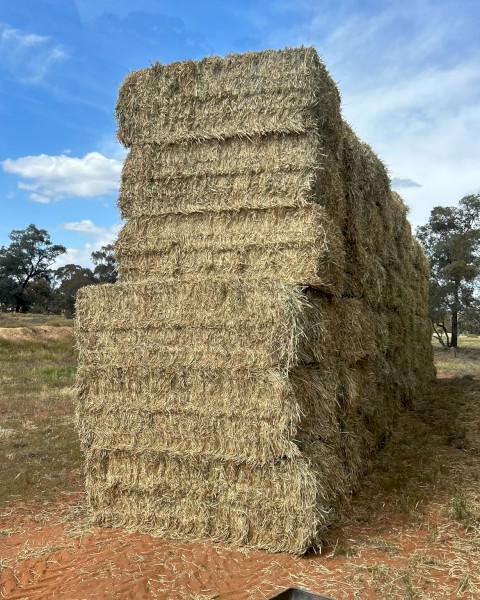 300mt Wheaten Hay 600kg 8x4x3 Bales