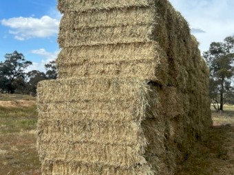 300mt Wheaten Hay 600kg 8x4x3 Bales