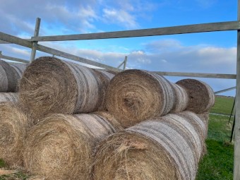 150 x Wheaten Hay 4x4 Round Bales