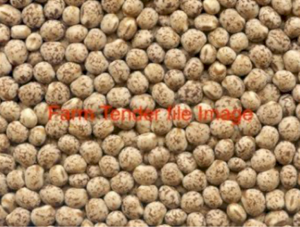 WANTED Feed Lupins 10-24 ton