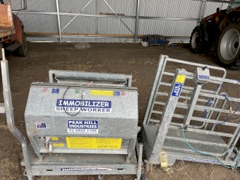 Peak Hill Immobilizer