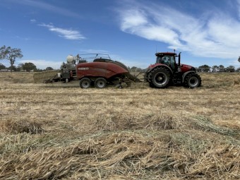 600mt Ryegrass / Clover Hay 600kg 8x4x3 Bales