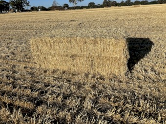 60mt Barley Straw 8x4x3 Bales