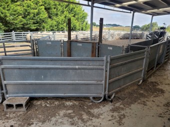 Sheep yards - complete Norton 400 head semi-permanent - oval/bugle. Loading ramp, v race, 3 way drafter, Combi Clamp