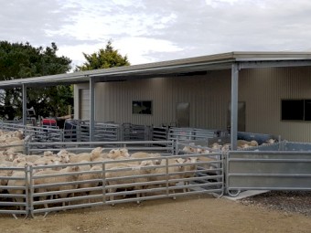 Sheep yards - complete Norton 400 head semi-permanent - oval/bugle. Loading ramp, v race, 3 way drafter, Combi Clamp