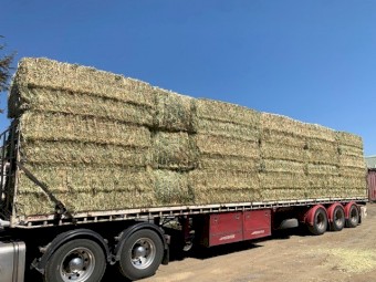Oaten Hay 750kg 8x4x3 Bales