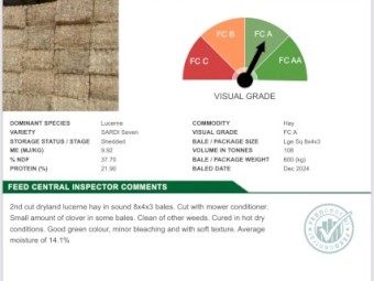 Lucerne Hay 600-650kg 8x4x3 Bales (120 bales remaining)