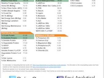 Lucerne Hay 600-650kg 8x4x3 Bales (120 bales remaining)