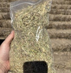 1350 T  Wheaten Hay 600kg 8x4x3 Bales