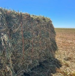 200mt Oaten Hay 670kg 8x4x3 Bales