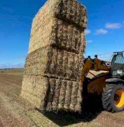 200mt Oaten Hay 670kg 8x4x3 Bales
