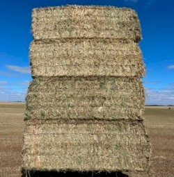200mt Oaten Hay 670kg 8x4x3 Bales
