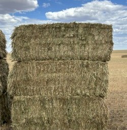 350mt Wheaten Hay 600kg 8x4x3 Bales