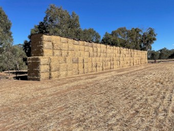 2024 Barley Straw (Header Tailings)