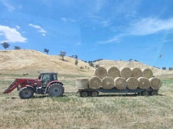 1980 Drake Ophee Dog Trailer - Heavy Duty